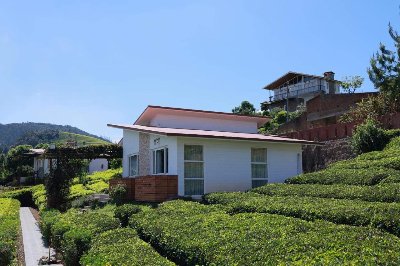 אוטי Planters Punch Resort מראה חיצוני תמונה