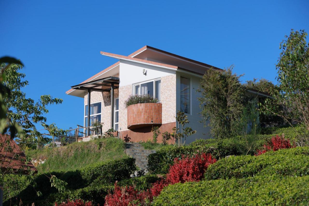 אוטי Planters Punch Resort מראה חיצוני תמונה